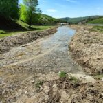 image 2023-05-03 at 19.05.14