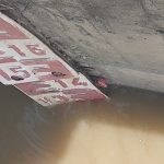 WhatsApp Image 2021-07-21 at 14.12.15 (1)