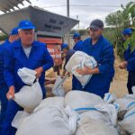 giurgiu mihailesti dunare (54)